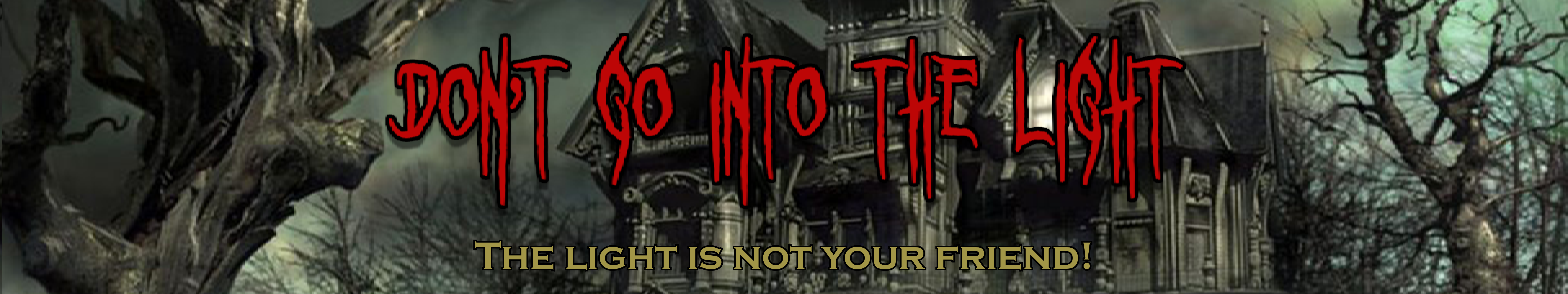 Don't Go Into The Light Banner